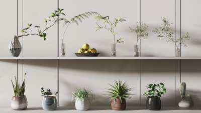 盆栽3D模型下载